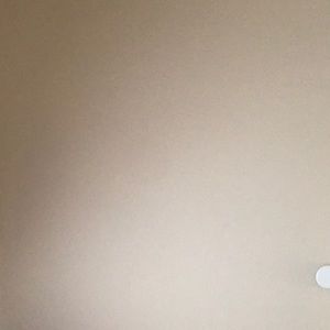 Meet your Posher, Candyce